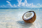 Island Glow - Gloss lèvres parfum coco